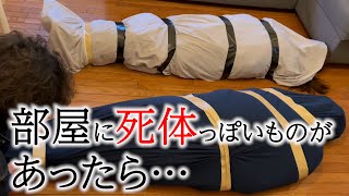 【ドッキリ】誰もいない部屋に死体っぽいものがあったら… [upl. by Nahgam]