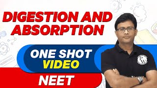 DIGESTION amp ABSORPTION in 1 Shot  All Concepts Tricks amp PYQs  NEET Crash Course  UMEED 20 [upl. by Mehs717]