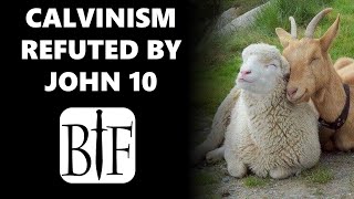 Calvinism Refuted by John 10 [upl. by Acissehc]