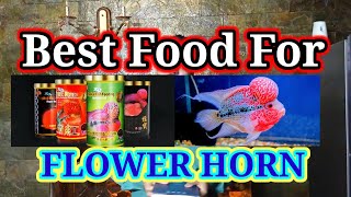 Best Food For FlowerHorn Fish For Head Growth and Color amp Flowerhorn Hump  How To Treat Bloating [upl. by Bara763]