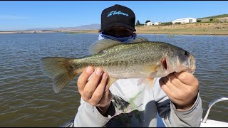 Crazy Bass And Carp Fishing At Theewaterskloof Dam [upl. by Atteuqaj]