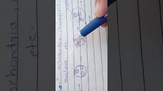 Membrane infolding hypothesis [upl. by Ainod410]