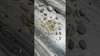 Shiny Beads Falling Reverse ASMR Video asmr satisfying [upl. by Ecnaralc833]