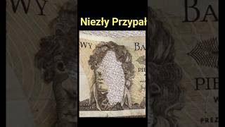 500 złotych destrukt przypalona głowa Destukt Garaż 500złotych [upl. by Nilyram291]