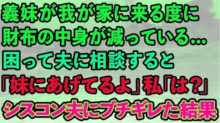 【スカッとする話】義妹一家が我が家に来る度に財布の中身が減っている…夫に相談すると「妹にあげてるよ」私「は？」シスコン夫にブチギレた結果… [upl. by Viviana]