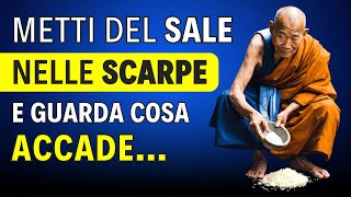 Metti del SALE NELLE SCARPE e scopri cosa accade  Storia Zen di Crescita Spirituale [upl. by Oigroig442]