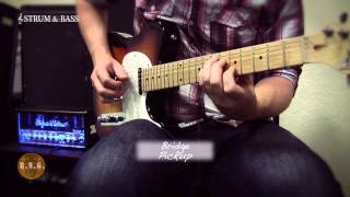 GampL Guitars ASAT Custom Telecaster Thinline [upl. by Vanderhoek]