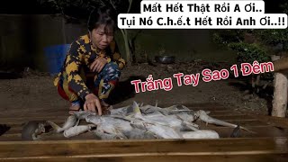 Vợ Chồng Dì 4 Trắng Tay sau 1 đêm [upl. by Yrehc163]