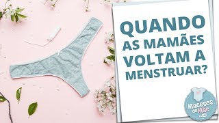 MENSTRUAÇÃO PÓS PARTO EM QUANTO TEMPO ELA VOLTA  MACETES DE MÃE [upl. by Eikceb]