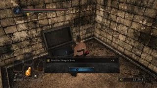 Dark Souls 2 Brume Tower Secret Destructible Wall 8x Petrified Dragon Bone [upl. by Camfort]