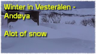 Norwegian Bushcraft and Fishing  Alot of Snow  Winter 2024 Part 1 [upl. by Risay687]