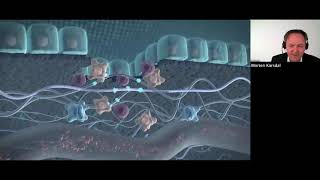 The Extracellular Matrix ECM  The Common Denominator In All Chronic Diseases [upl. by Erehs]