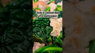 Cooking meat and vegetables stew multicooker steamer KING PRO [upl. by Nesrac205]