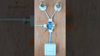 Easy 2 Gang Switch Wiring electricalwiring electrical wiring diy shorts lightswitch electric [upl. by Rrats553]