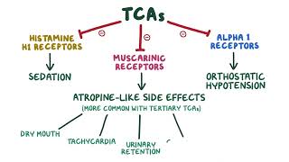 Tricyclic Antidepressants pharmacology 🔥OSMOSISFull mechanism side effects selflessmedicose [upl. by Hogan]