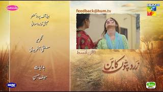 Zard Patton Ka Bunn  Episode 12 Teaser  21 July 2024   Sajal Ali amp Hamza Sohail   HUM TV [upl. by Ydualc]