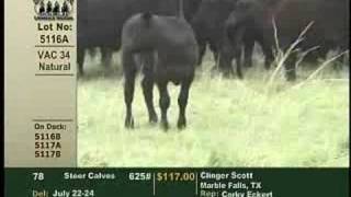 Superior Livestock Value Added Calves [upl. by Ynaffit]