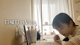 【休日のVlog】もう期末テスト2週間前！？あっという間に過ぎる日曜日の過ごし方 [upl. by Ecinaj914]