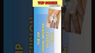 VIP  Visul Infusion phlebitis । Score phlebitis cannula cannulation nursingking short shorts [upl. by Shuping609]