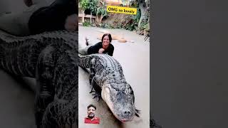 OMG SO BIG ALLEGATOR alligator darthmarr darth animals [upl. by Ahsinod101]