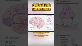 Como agem os antidepressivos [upl. by Radburn860]