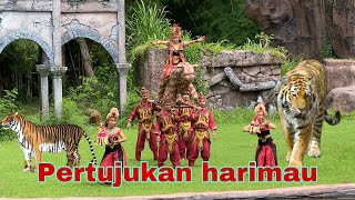 Pertunjukan harimau Bali safari amp marine park 2022 [upl. by Aratal]