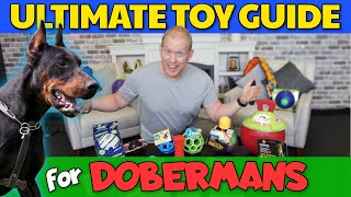 All Time Best Dog Toys for Dobermans 20 TOYS TESTED [upl. by Erdnaid]