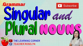 Singular and Plural Nouns Examples Pictures and Words [upl. by Ahsimat]