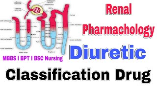 Diuretics Classification Pharmacology lecture in Hindi। Diuretics Classif For MBBS BPT BSC Nursing [upl. by Mir]