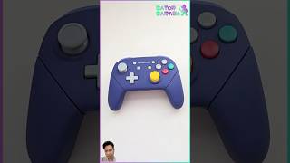 Building a CUSTOM GameCube Switch Pro Controller [upl. by Nivalc]