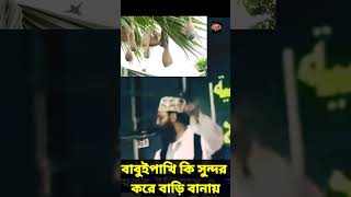 বাবুইপাখি কি সুন্দর করে বাড়ি বানায়  allama delwar hussain saidi waz দেলোয়ারহোসাইনসাঈদী waz [upl. by Nimrac]