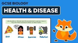 Health amp Disease  GCSE Biology [upl. by Dygert226]