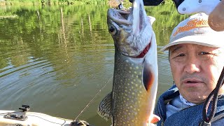 2024 July 4th Trout Fishing in Northern MN [upl. by Asseneg]