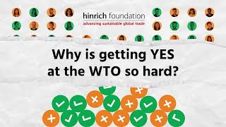 Why is getting yes at the WTO so hard  Hinrich Foundation [upl. by Hareehat]