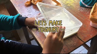 MEMBUAT YOGURT  BIOTEKNOLOGI KONVESIONAL [upl. by Ecirtak24]