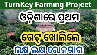 Odisha Commercial Farming  Turn Key Farming Contract Farming  Community Farming  Organic Farming [upl. by Dituri]