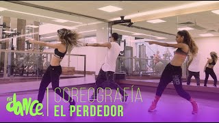 El Perdedor  Maluma  Coreografía  FitDance Life [upl. by Ellan809]