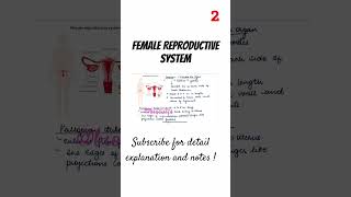 Female Reproductive System  class 12th  NEET  Biocules [upl. by Linker]