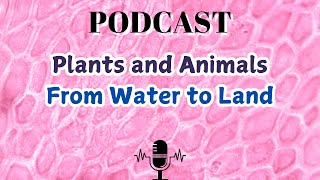 Plants and Animals From Water to Land [upl. by Lourdes496]