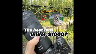 Canon RF 100400mm f568 IS USM Lens review [upl. by Narcis]