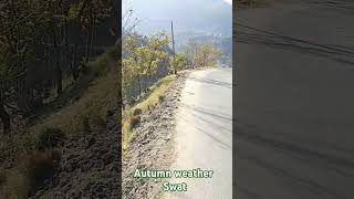 autumn weather paronaswat shortvideo new vedio [upl. by Oglesby752]