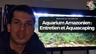 Aquarium Amazonien  Entretien et Aquascaping [upl. by Darius]