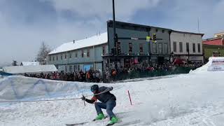 Skijoring Leadville Colorado 2022 [upl. by Crescantia]