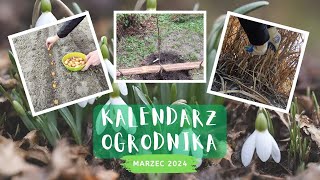 15 prac w ogrodzie w marcu czyli kalendarz ogrodnika 2024 [upl. by Anesuza]