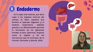 Presentación Ontogénesis del Sistema Nervioso [upl. by Luemas]