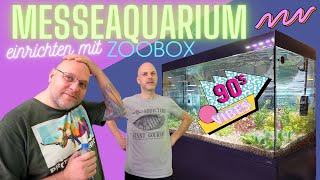 Ein 90iger Jahre HollandAquarium für ZOOBOXde und die AquaExpo 23 [upl. by Memberg]