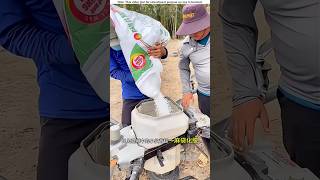 Fertilizer drones and tree climbing machines।😱shortvideo amazingsfacts [upl. by Anneehs]