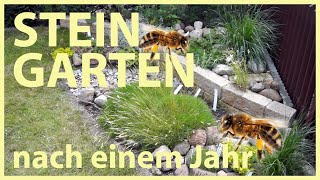 Insektenfreundlichen 🐝 Steingarten selber anlegen  nach einem Jahr [upl. by Sik]