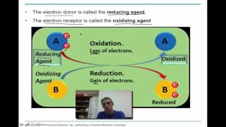 Chapter 9 Part 1  Cellular Respiration  Glycolysis [upl. by Glyn]