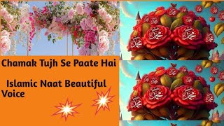 Chamak Tujhse Pate Hain Sab Pane wale Kuch Alag h islamicnaat youtubevideo shaik wasifa [upl. by Alel787]